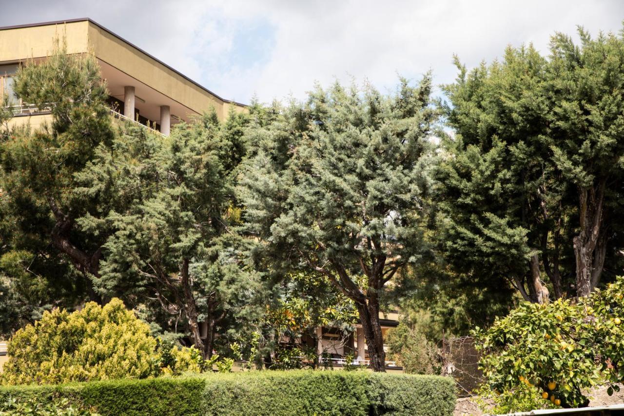 L' Albero Di Giada Bed and Breakfast Caserta Exteriör bild