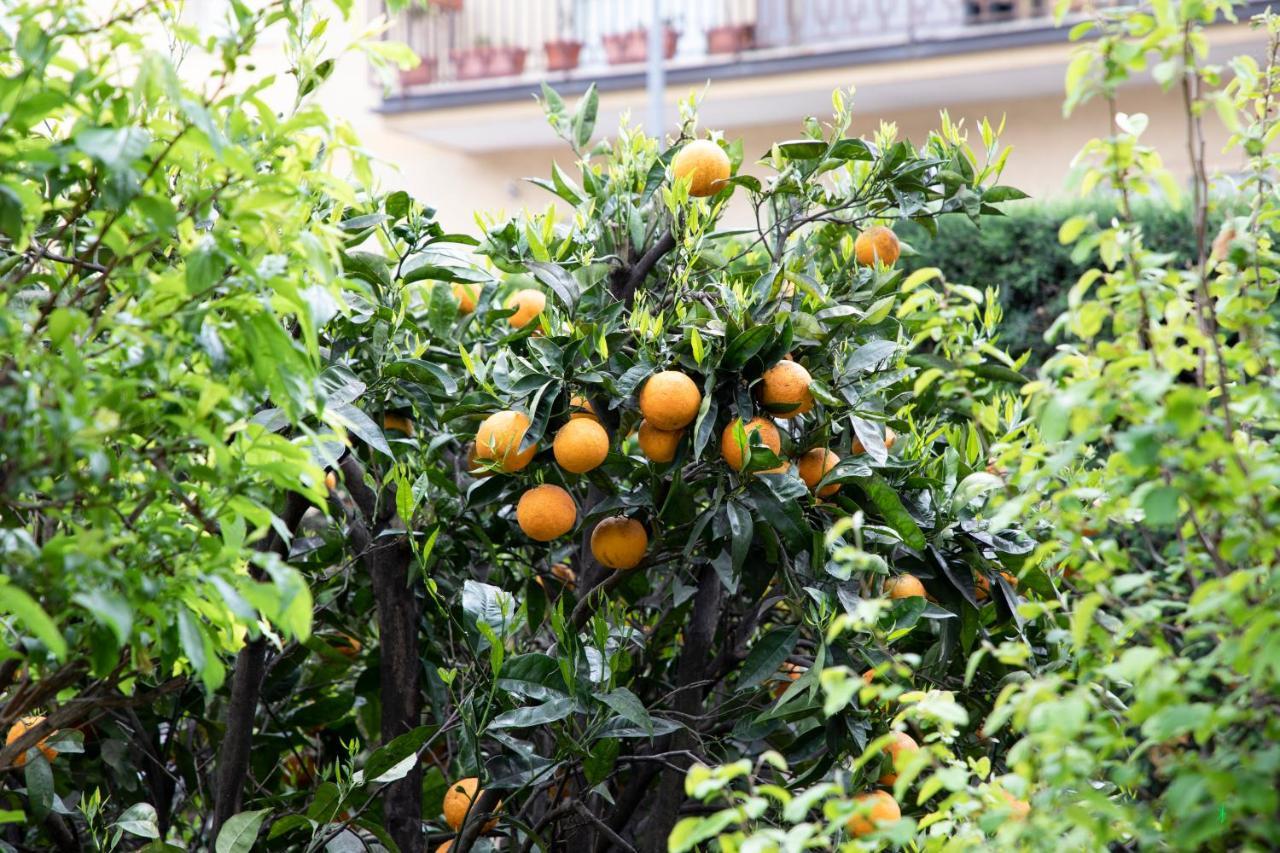 L' Albero Di Giada Bed and Breakfast Caserta Exteriör bild