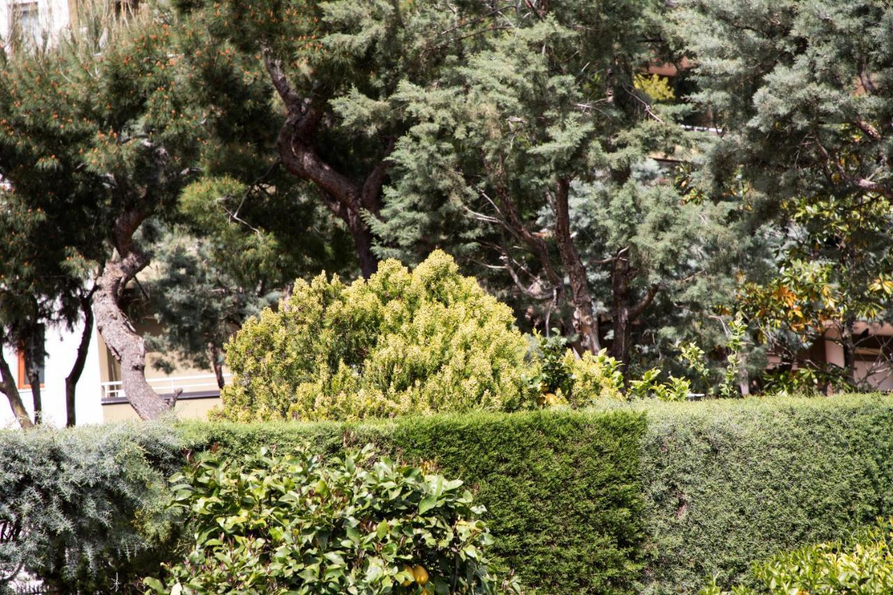 L' Albero Di Giada Bed and Breakfast Caserta Exteriör bild